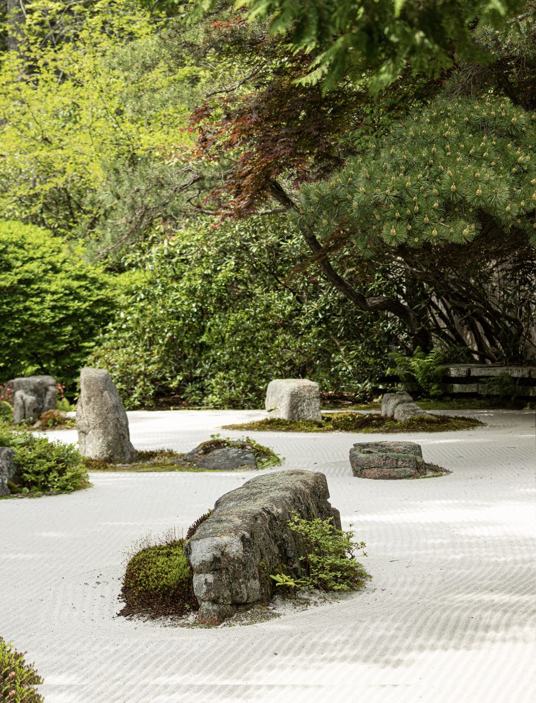 Zen garden with stones