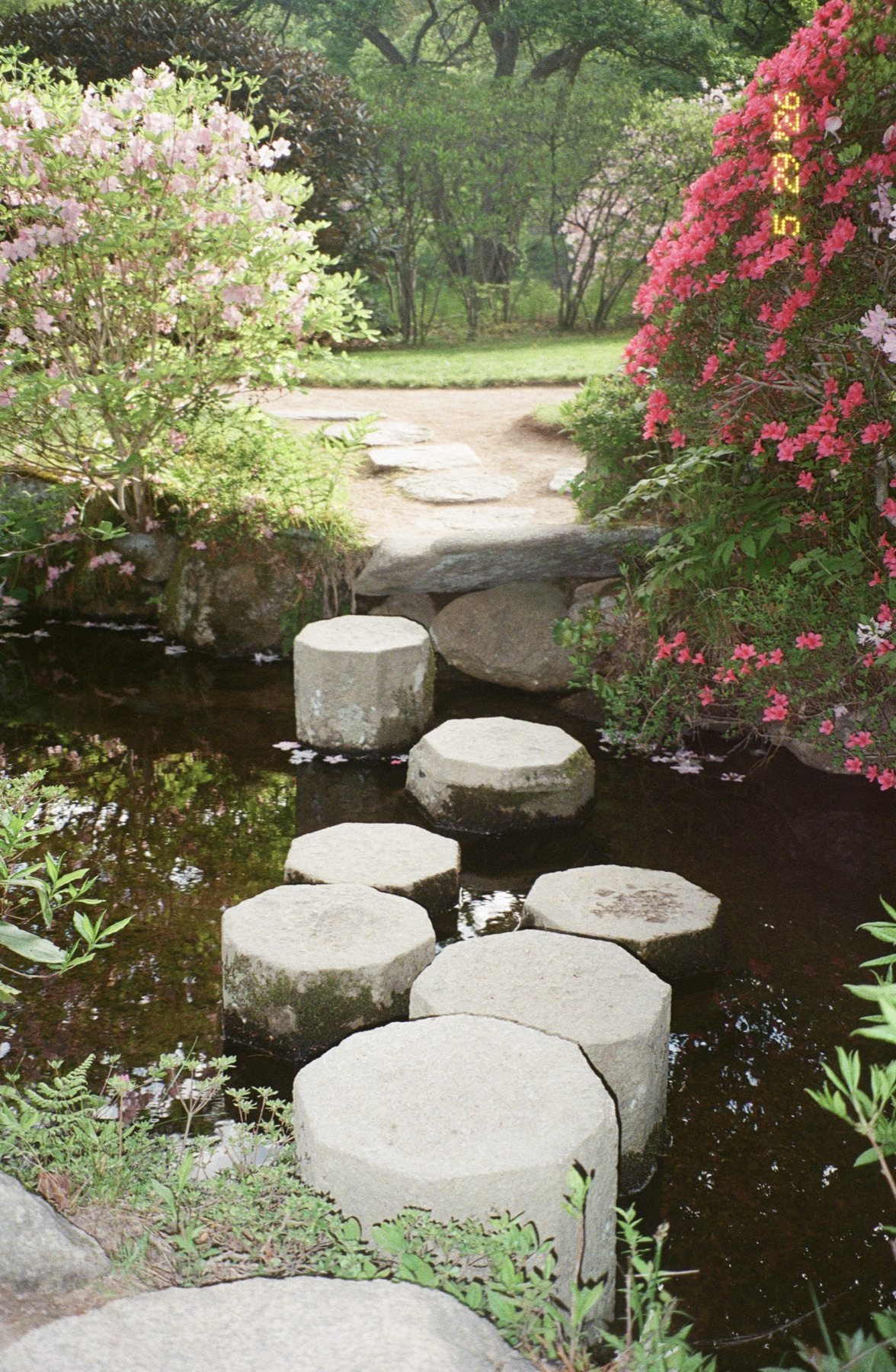 Stone steps crossing water in a garden