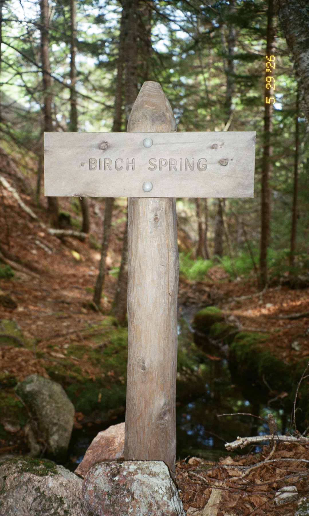 Birch Spring trail sign in the woods